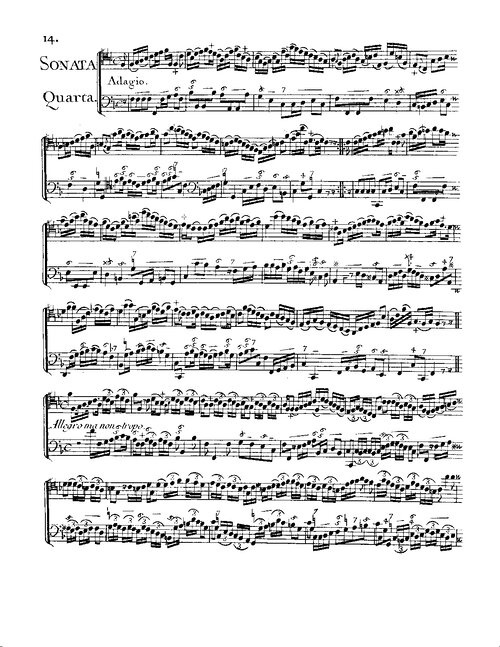 Masse Sonata Quarta