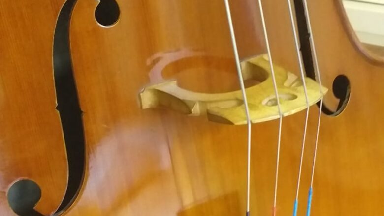 Cello de taller en venta Argentina