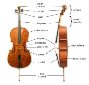 Cómo comprar tu primer violonchelo: guía completa