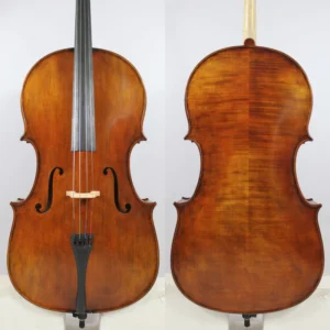 Cómo comprar tu primer violonchelo: guía completa