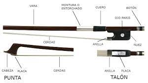Cómo comprar tu primer violonchelo: guía completa