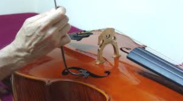 El Ajuste o Setup del Violonchelo