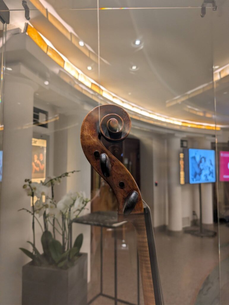 Cello Goffriller de Pablo Casals, caracol visto de costado