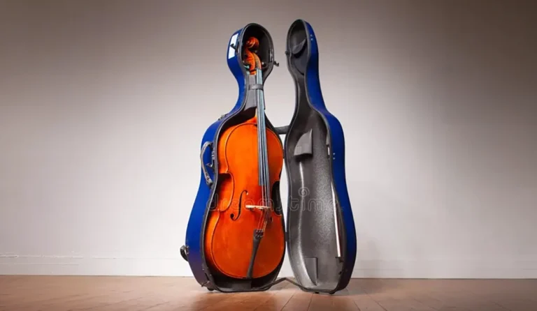 un violoncelo que se coloca en estuche