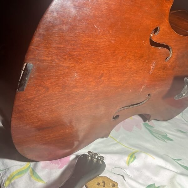 Cómo identificar un instrumento que no es un violonchelo: el caso de un taller de Pergamino (D.Y.)