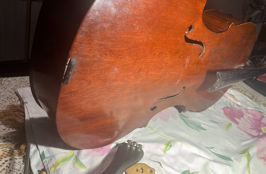 Cómo identificar un instrumento que no es un violonchelo: el caso de un taller de Pergamino (D.Y.)